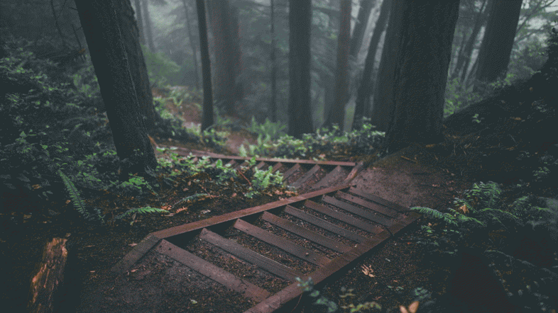 dithered forest wallpaper