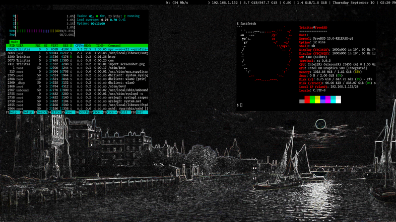 FreeBSD, CWM, XLibre, edge-detected painting by William Pether