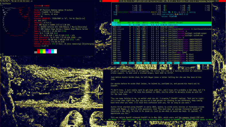 FreeBSD, DWM, fastfetch, htop, newsraft